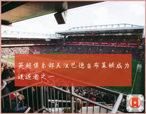 英超俱乐部关注巴德吉布莱顿成为追逐者之一