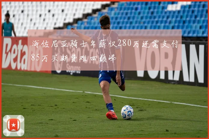 海佐尼亚骑士年薪仅280万还需支付85万买断费难回巅峰
