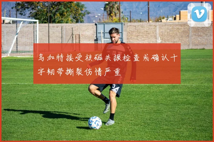 乌加特接受核磁共振检查或确认十字韧带撕裂伤情严重